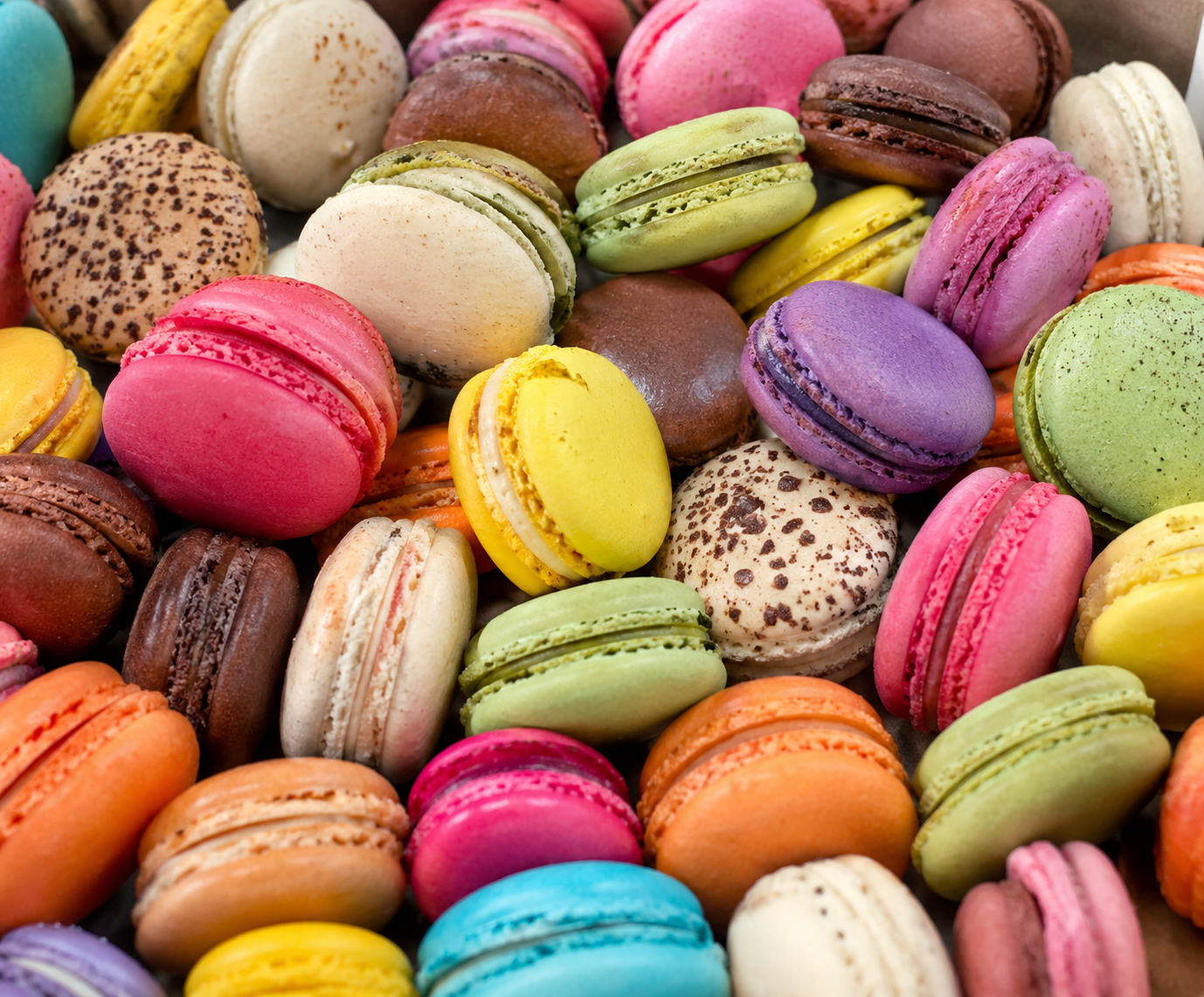 L'Appareil des Chefs