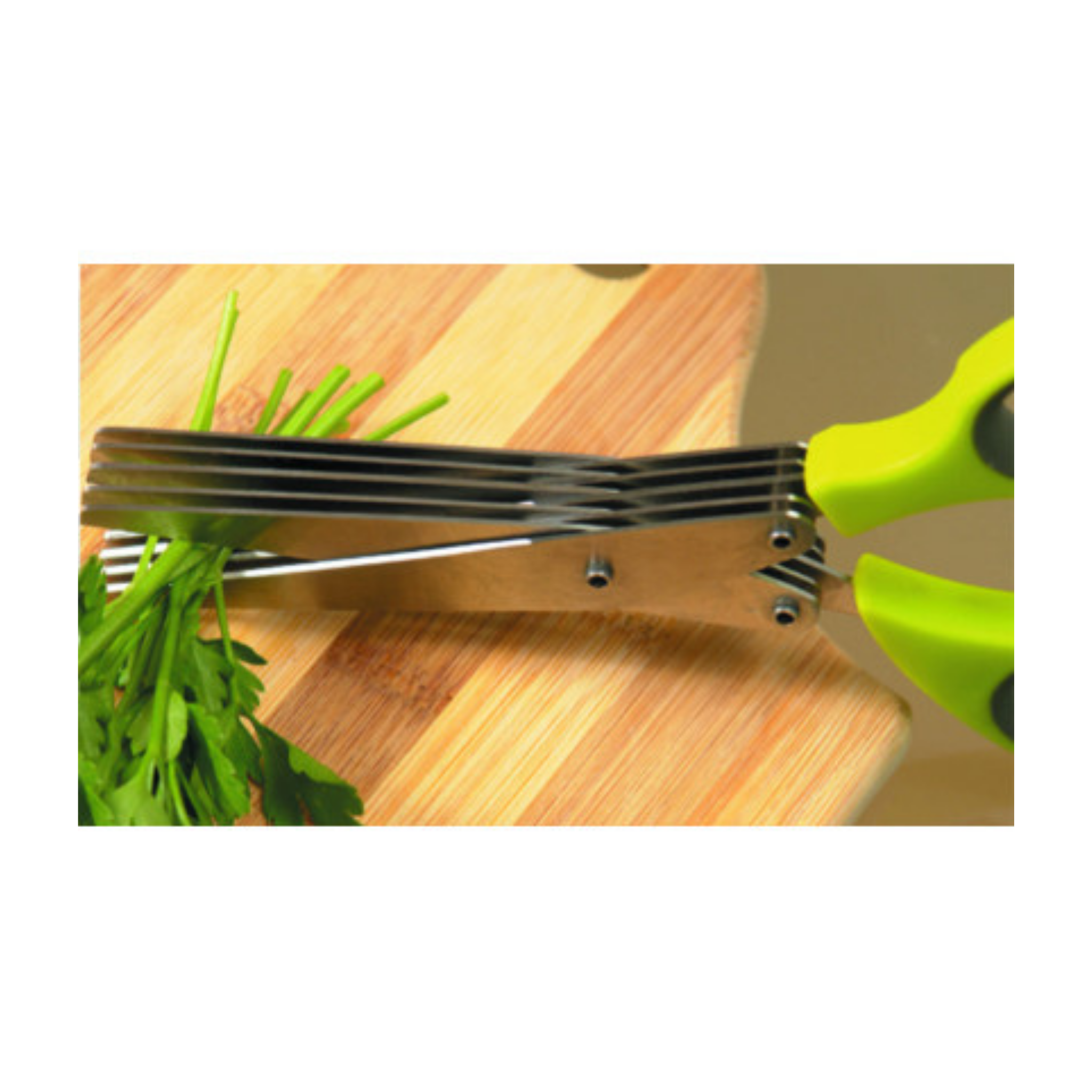 Mallard Ferrière - Ciseaux à Herbes Multilames 22 cm