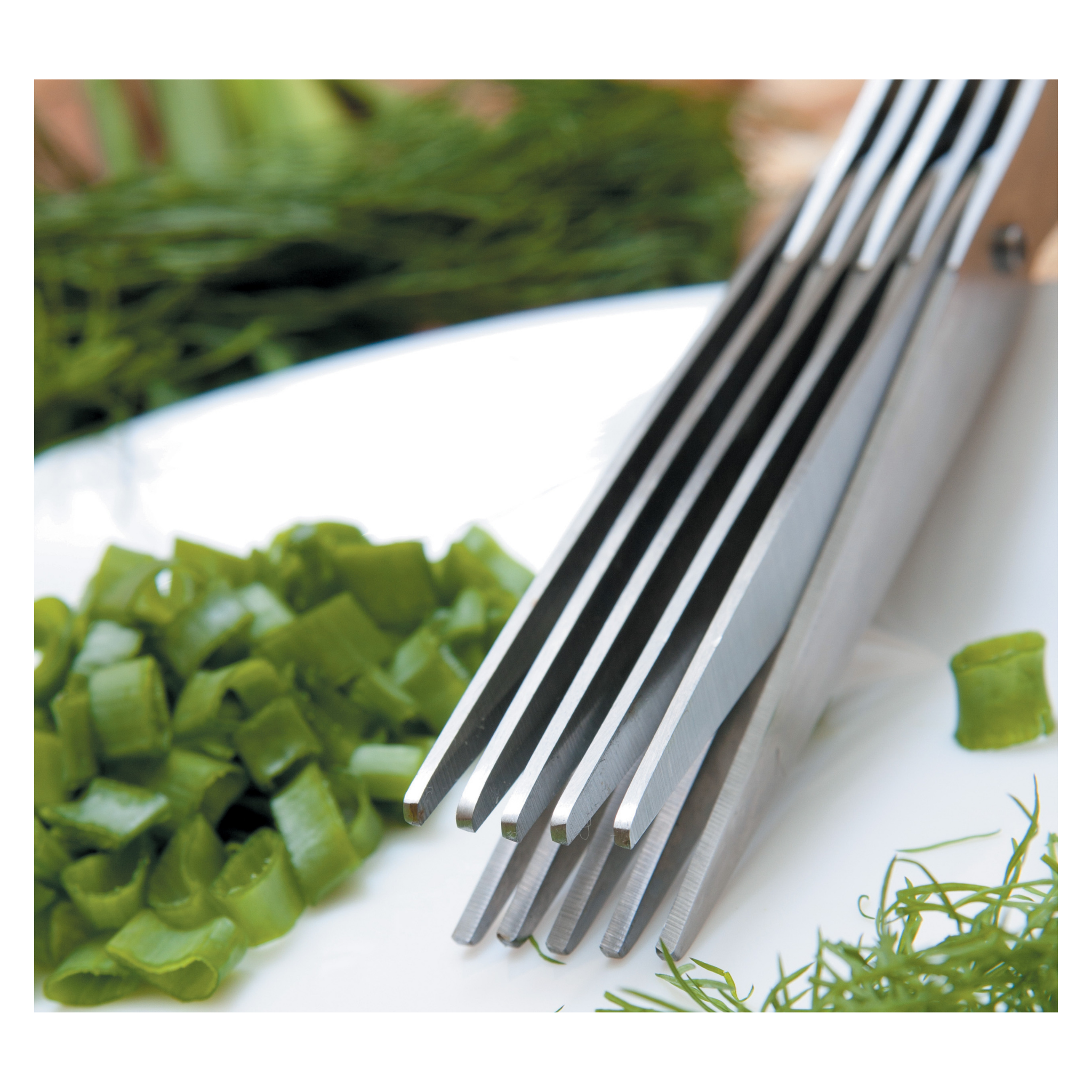 Mallard Ferrière - Ciseaux à Herbes Multilames 22 cm
