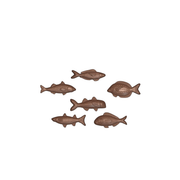 Assortiment de chocolats en forme de poissons variés
