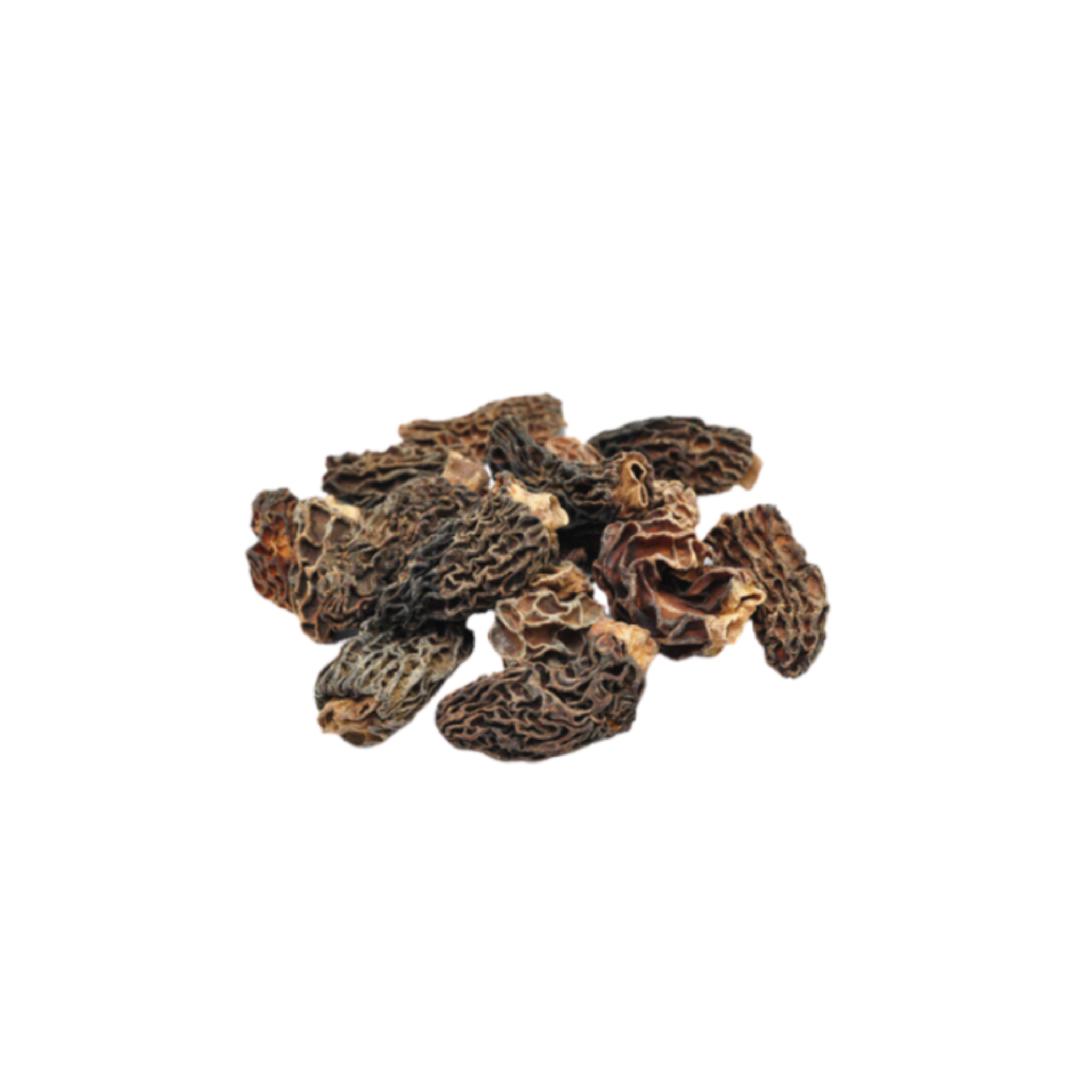 Morilles séchées - 1kg
