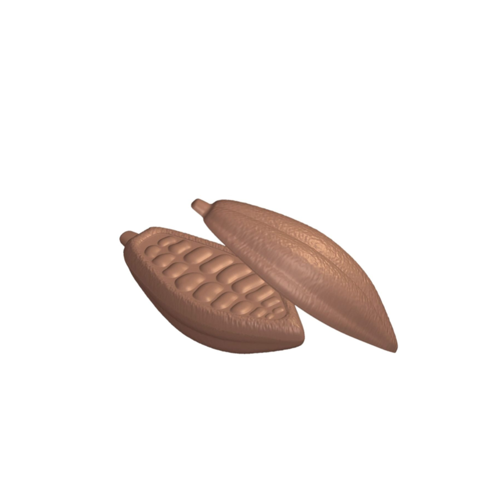 Mallard Ferrière - Moule à chocolat Cabosse