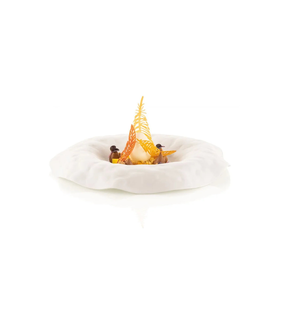 entremets en forme de plumes