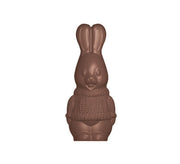 Lapin en chocolat avec pull en maille
