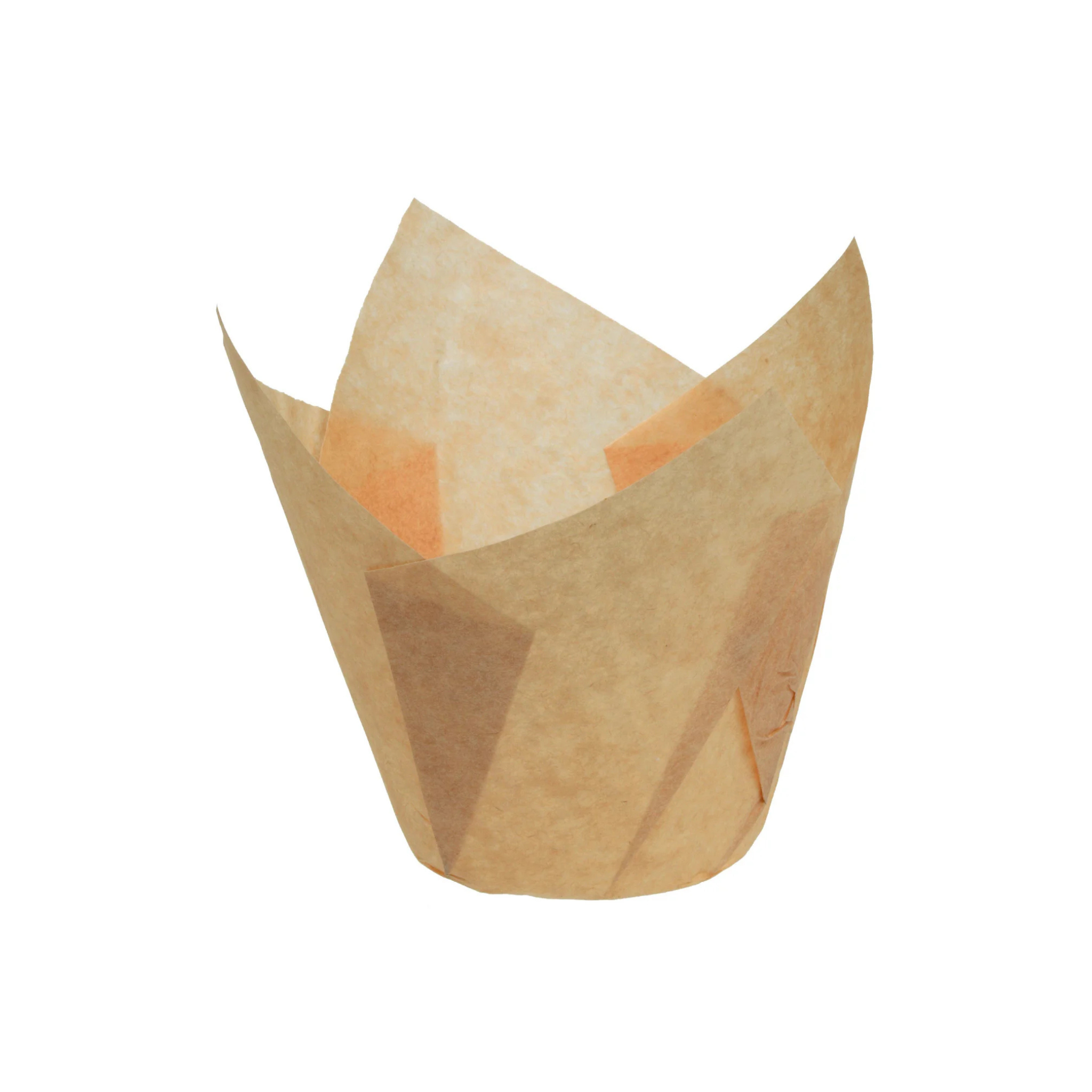 Mallard Ferrière - Caissettes à Muffin Tulipcup - Lot de 200