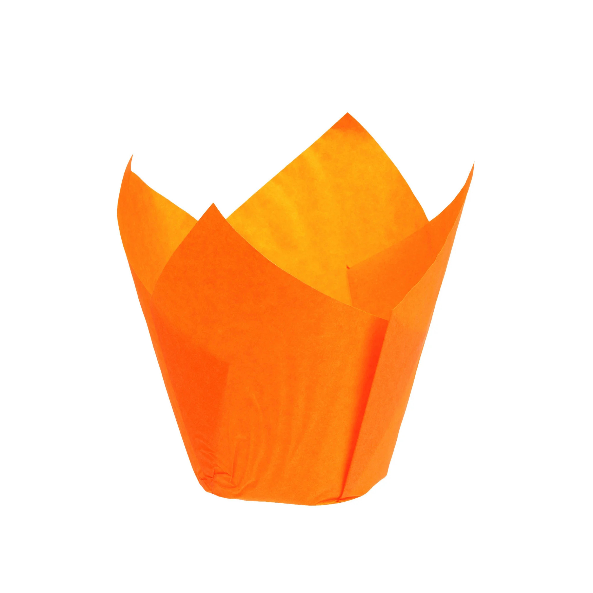 Mallard Ferrière - Caissettes à Muffin Tulipcup - Lot de 200