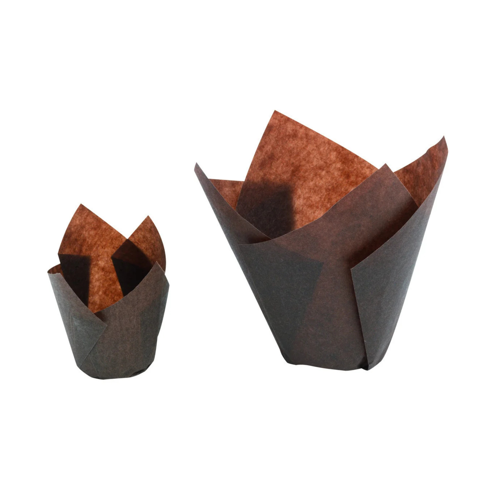 Mallard Ferrière - Caissettes à Muffin Tulipcup en Papier Brun