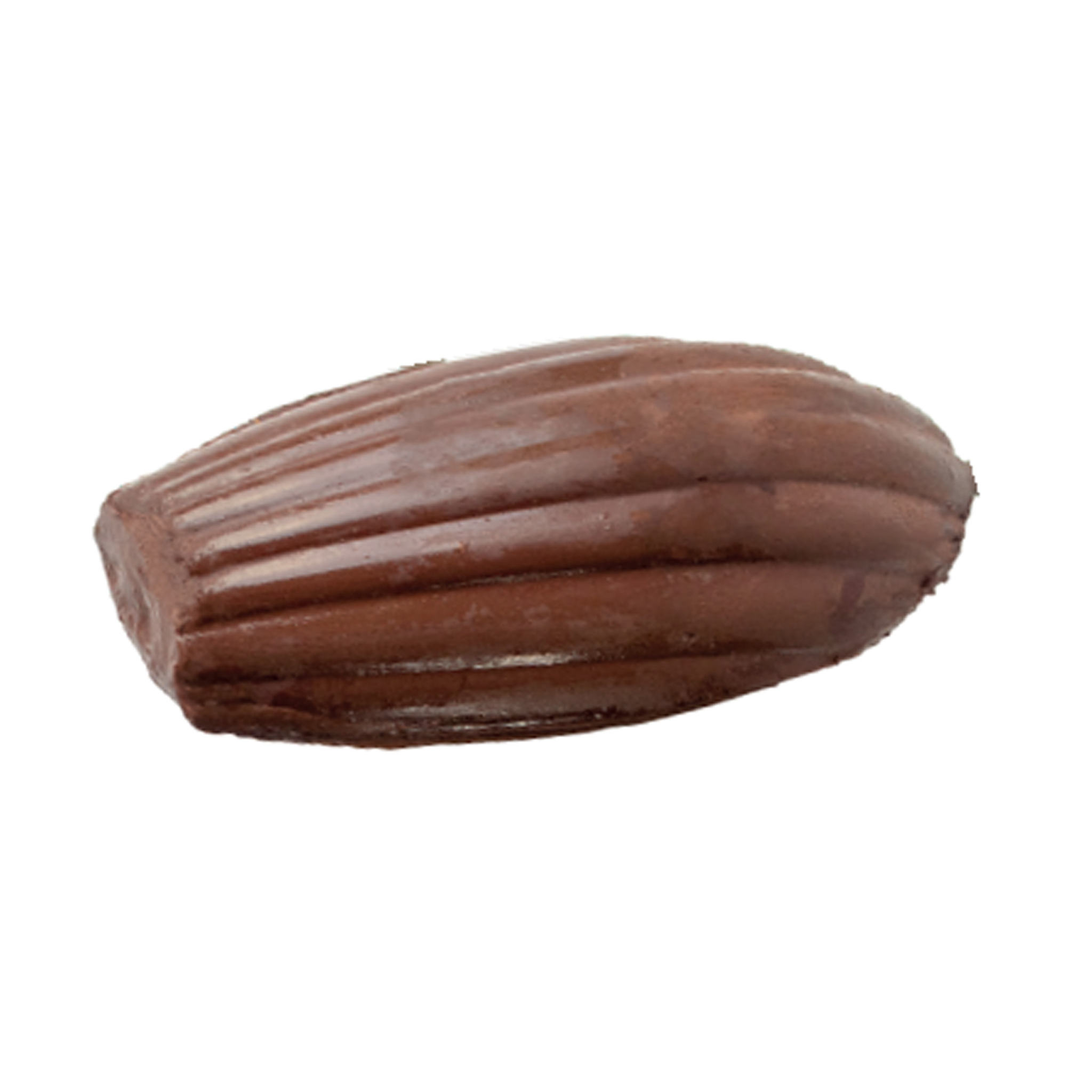Mallard Ferrière - Moule antiadhésif  madeleine XXL 195 x 120 mm