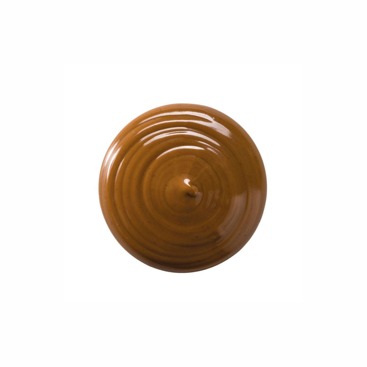 Cacao Barry - Praliné Noisettes Piémont 50 % - 5 kg