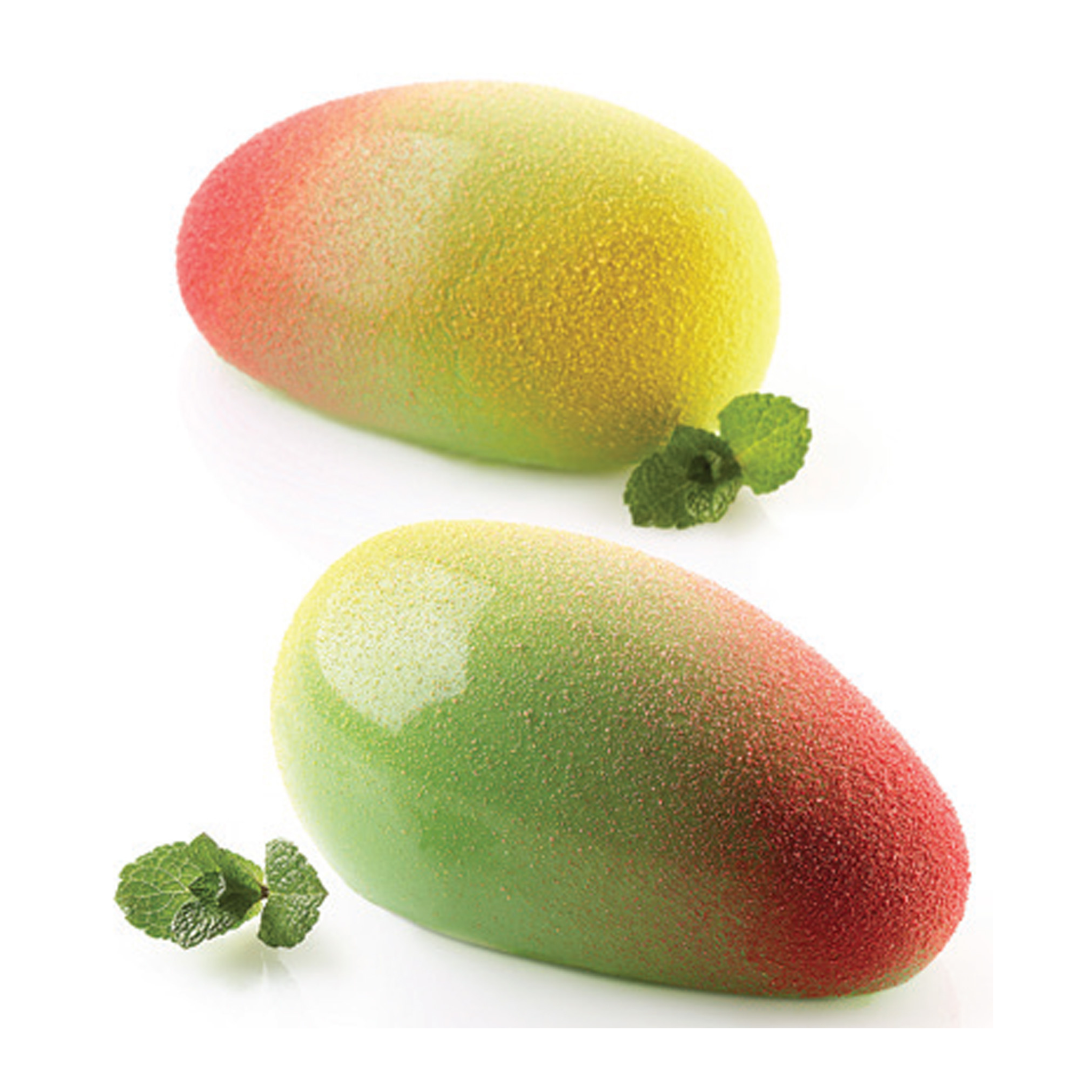 Silikomart - Moule Silicone 6  Mangues 93 x 57 mm 130ml