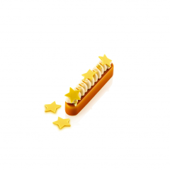Plaque Chablon Silicone - Étoile (x60)