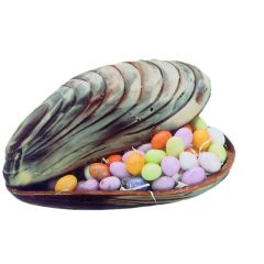 Moule à chocolat coquillage - L.146 mm